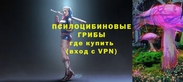 эйфоретик Аркадак