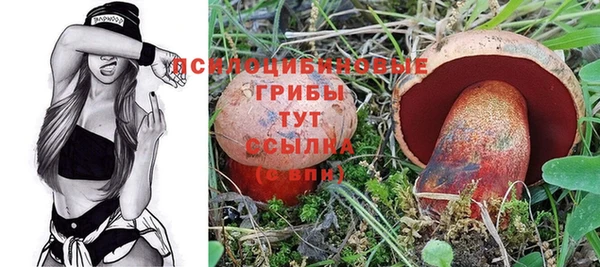 эйфоретик Аркадак