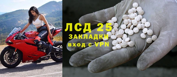 эйфоретик Аркадак